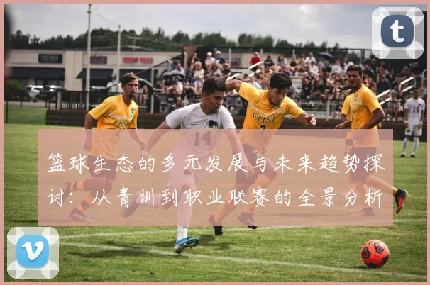 篮球生态的多元发展与未来趋势探讨：从青训到职业联赛的全景分析
