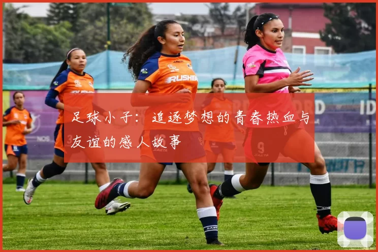 足球小子：追逐梦想的青春热血与友谊的感人故事