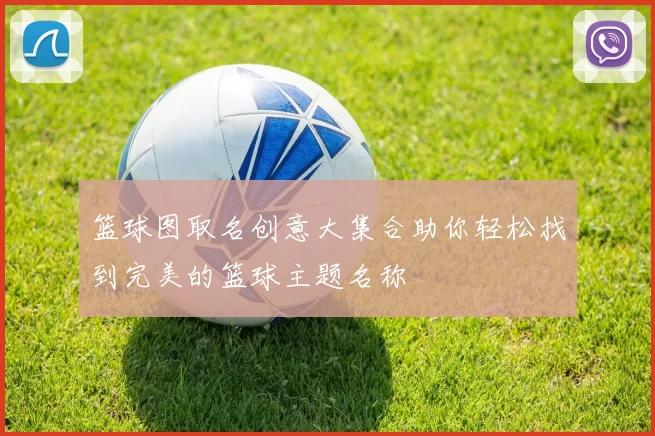 篮球图取名创意大集合助你轻松找到完美的篮球主题名称